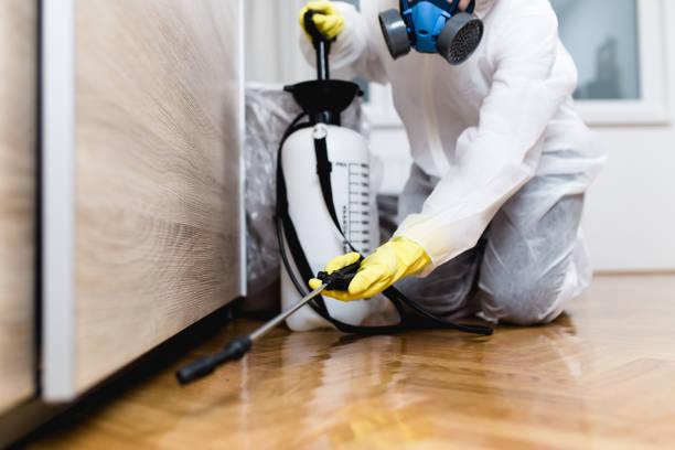 Best Affordable Pest Control Services  in Birngham, MI