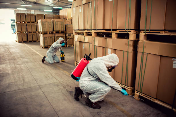 Best Termite Control Services  in Birngham, MI