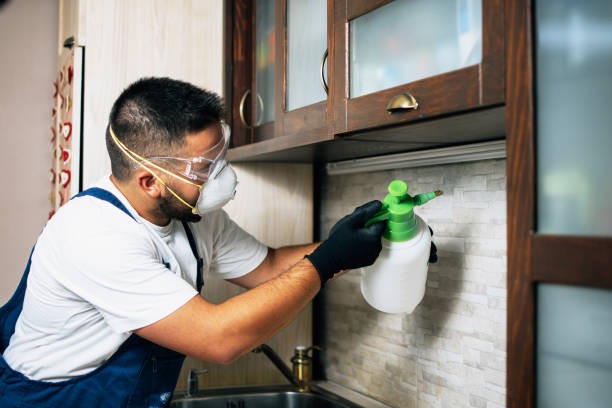 Best Pest Control Near Me  in Birngham, MI