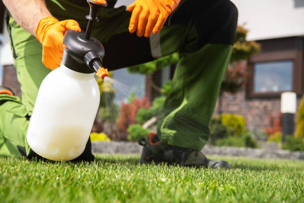 Best Residential Pest Control  in Birngham, MI
