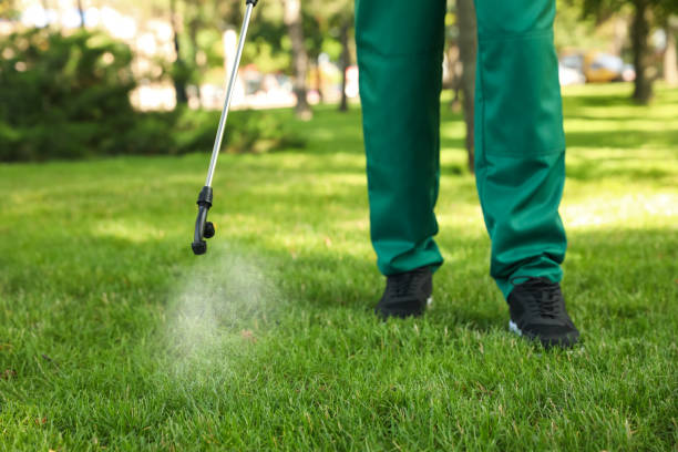 Best Best Pest Control Near Me  in Birngham, MI