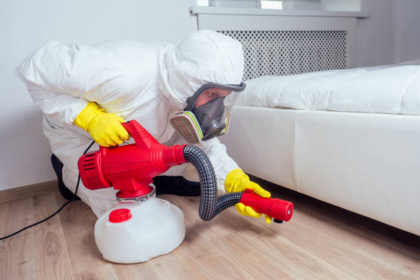 Best Pest Control Treatment  in Birngham, MI