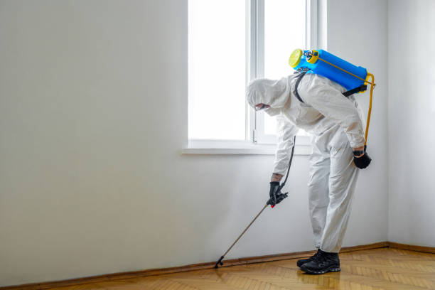 Best Commercial Pest Control Services  in Birngham, MI