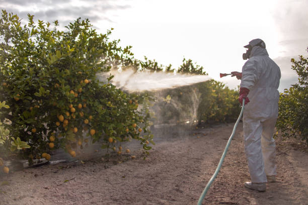 Pest Control Cost in Birmingham, MI