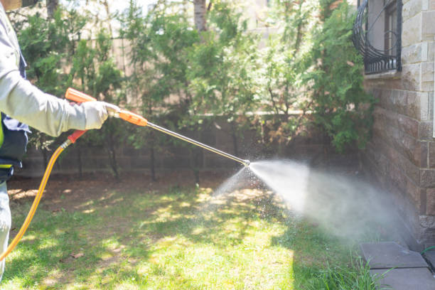 Best Exterminator Services  in Birngham, MI