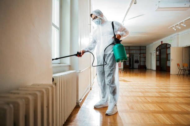 Best Affordable Pest Control Services  in Birngham, MI