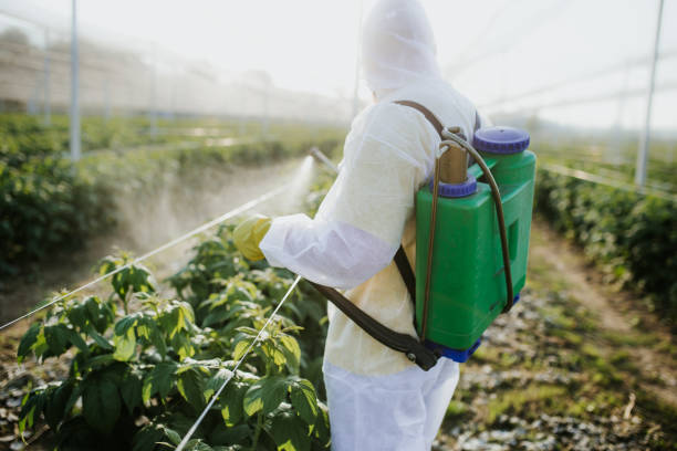 Best Insect Control  in Birngham, MI